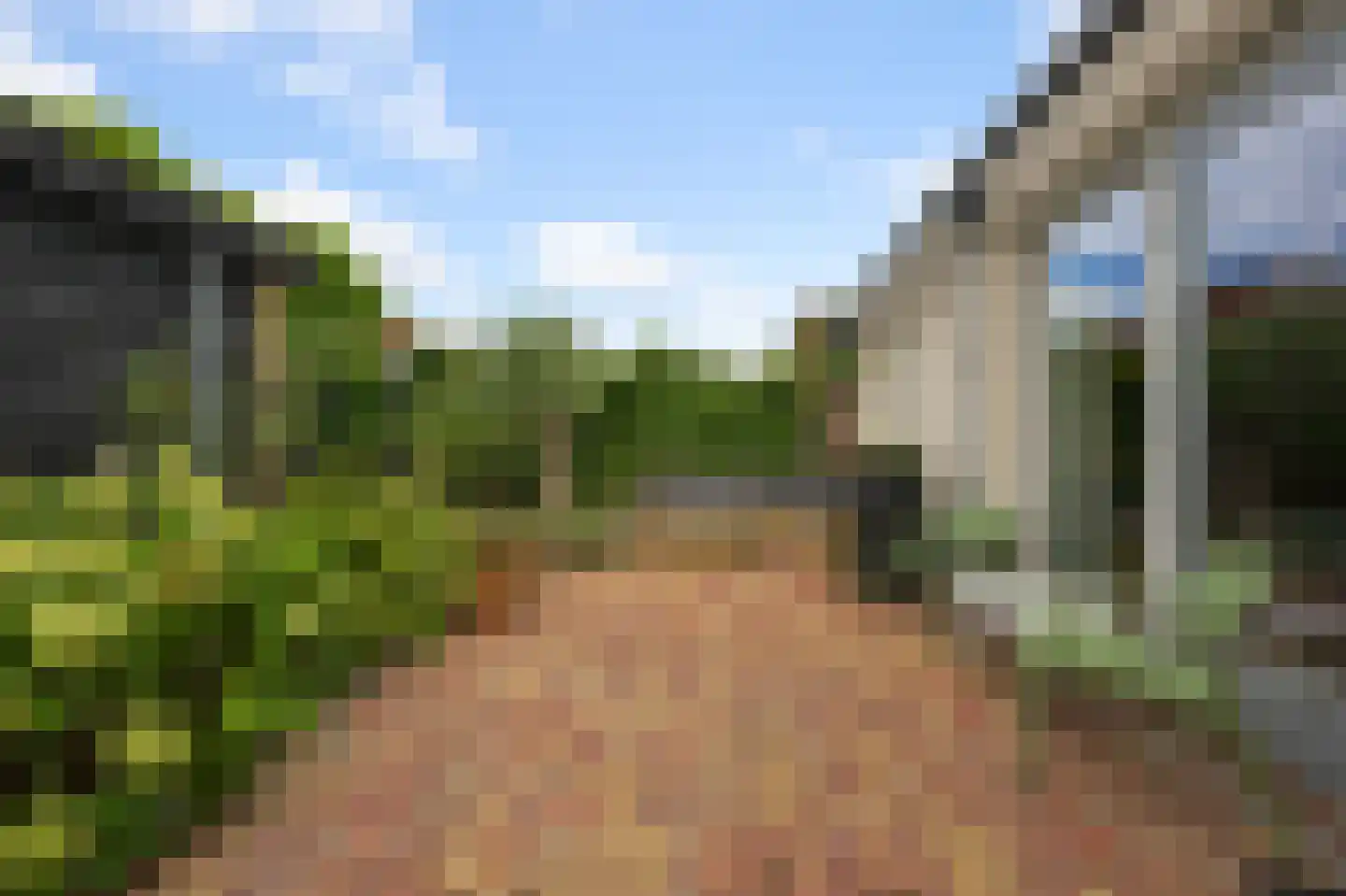Pentatlon 14 Assendelft thumbnail 6