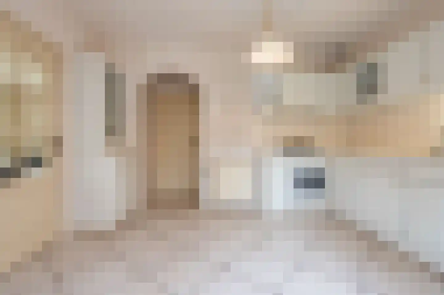 Pentelstraat 21 Erp thumbnail 13