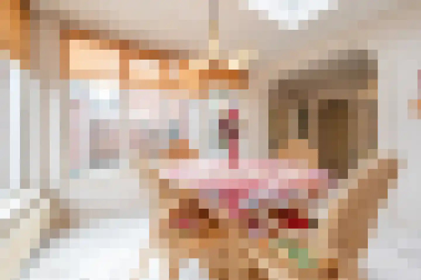 Pentelstraat 21 Erp thumbnail 16