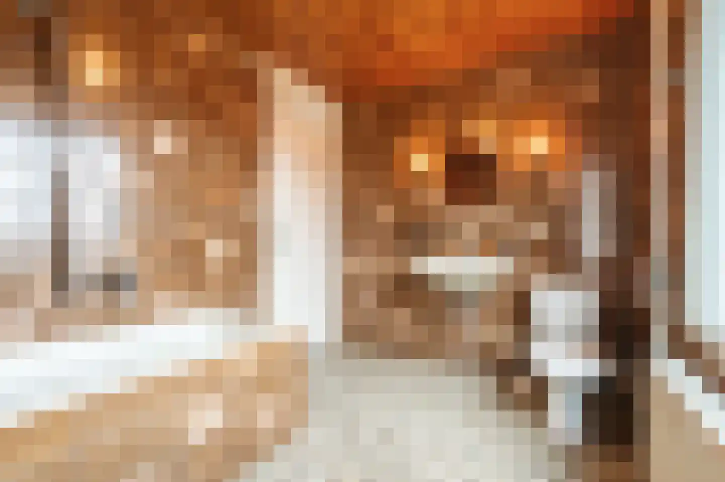 Pentelstraat 21 Erp thumbnail 29