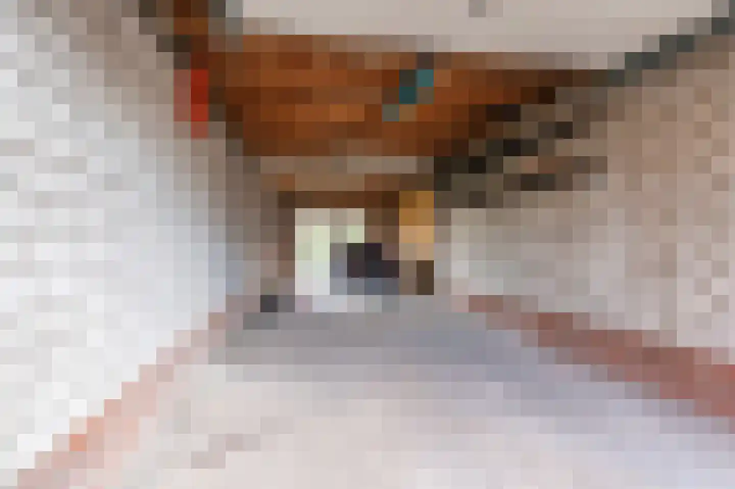 Pentelstraat 21 Erp thumbnail 39