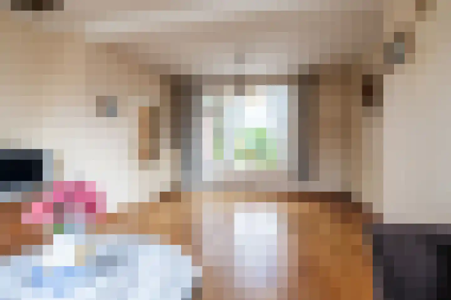 Pentelstraat 21 Erp thumbnail 4