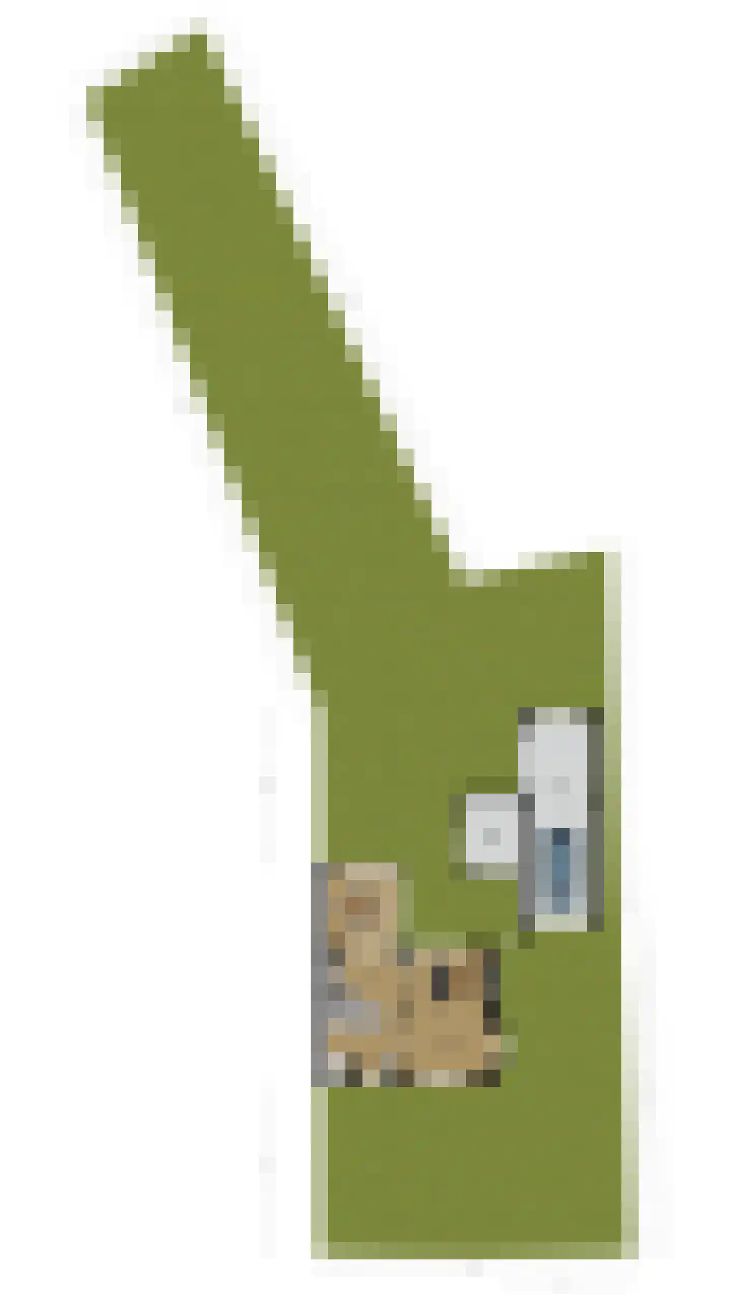 Pentelstraat 21 Erp thumbnail 48