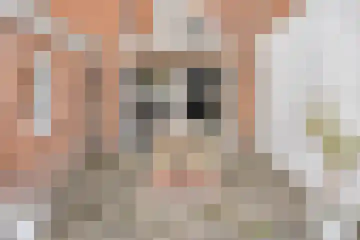 Pentelstraat 25 Erp thumbnail 31