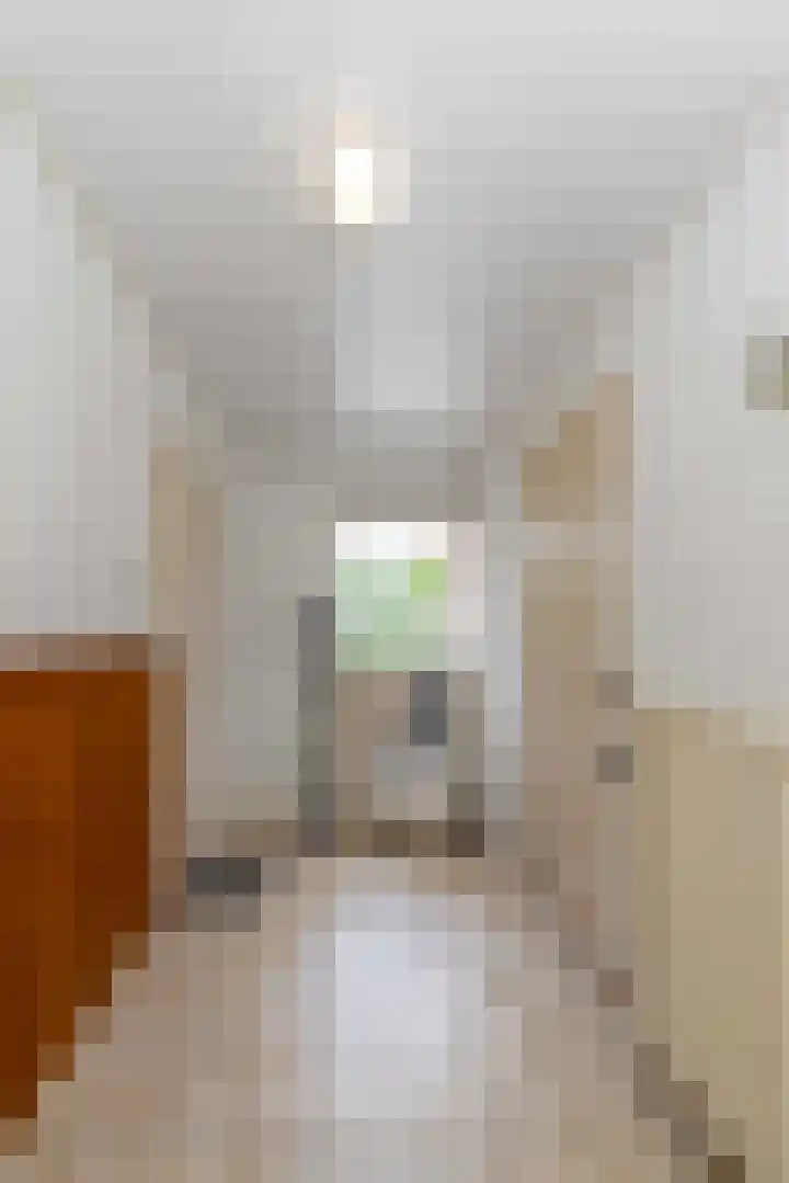 Pentelstraat 5 Erp thumbnail 12