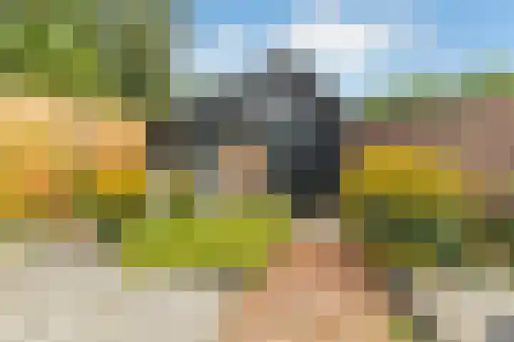 Pentelstraat 5 Erp thumbnail 25