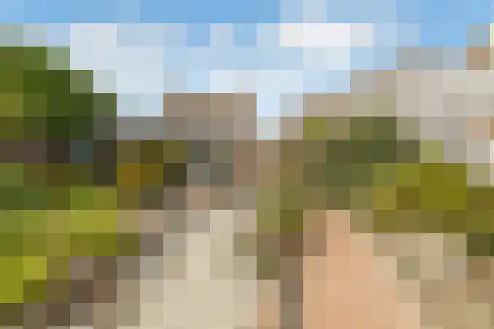 Pentelstraat 5 Erp thumbnail 26