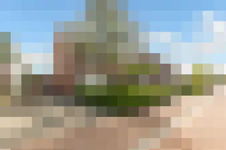 Pentelstraat 5 Erp thumbnail 27
