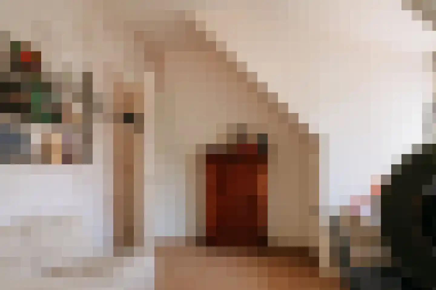 Pentislaan 1 Aerdenhout thumbnail 37