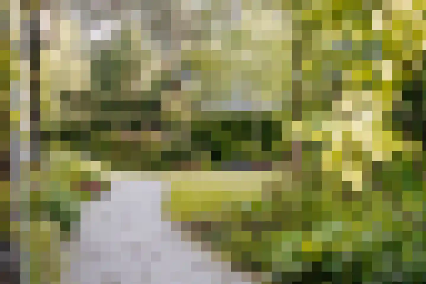 Pentislaan 1 Aerdenhout thumbnail 45