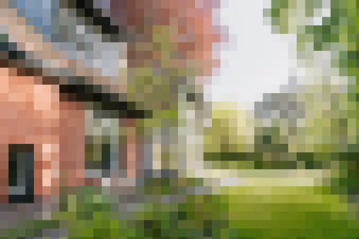 Pentislaan 1 Aerdenhout thumbnail 46