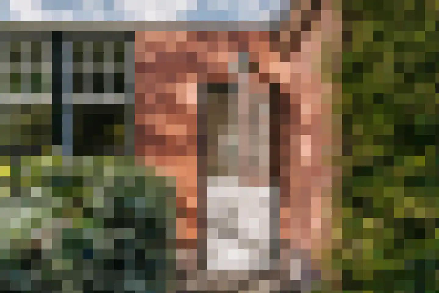 Pentislaan 1 Aerdenhout thumbnail 52