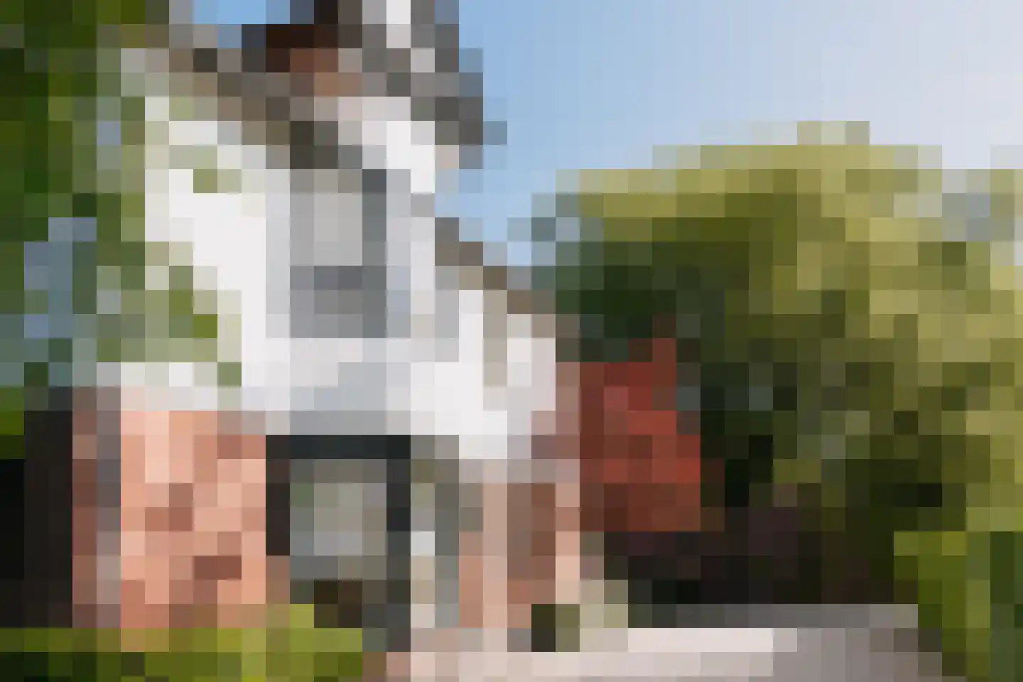 Pentislaan 1 Aerdenhout thumbnail 6