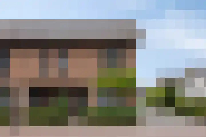 Peperbus 22 dans Gemert