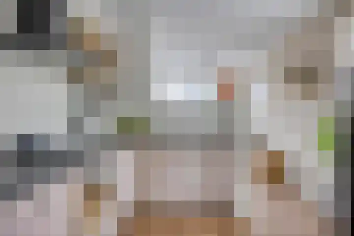 Peperbus 22 Gemert thumbnail 15