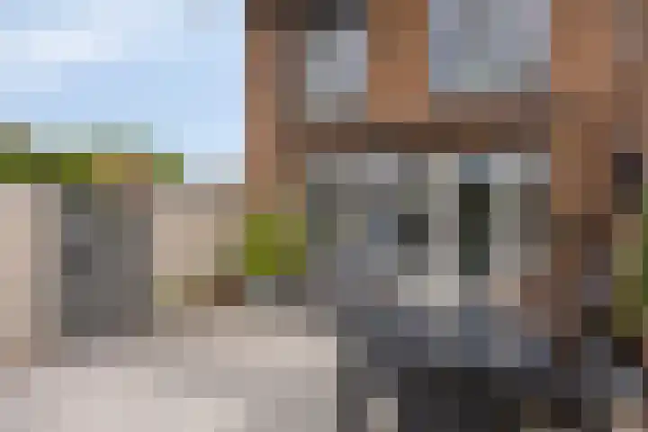 Peperbus 22 Gemert thumbnail 34