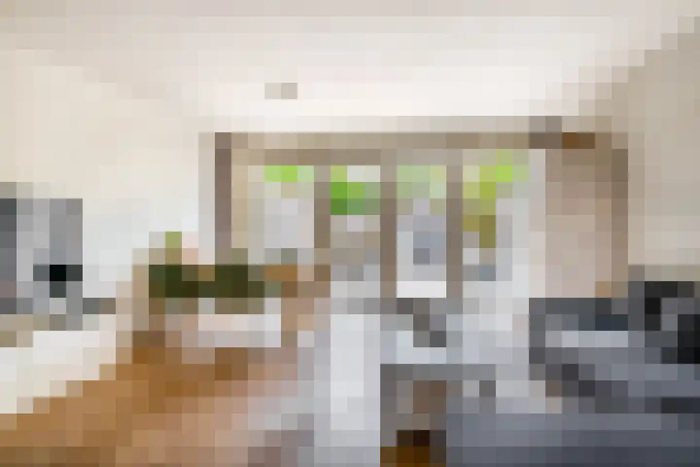 Peperdonk 10 Spijkenisse thumbnail 13