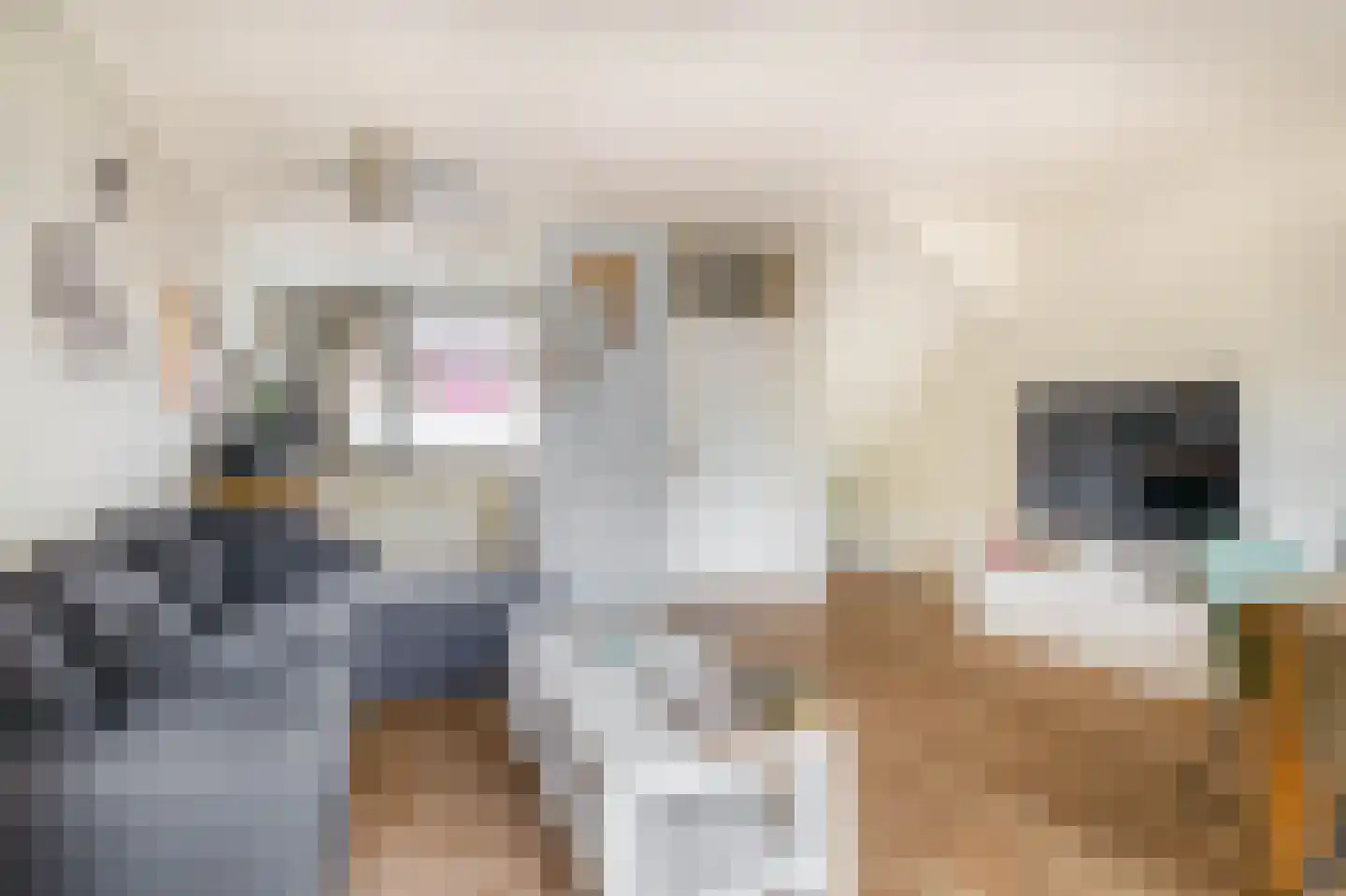 Peperdonk 10 Spijkenisse thumbnail 14