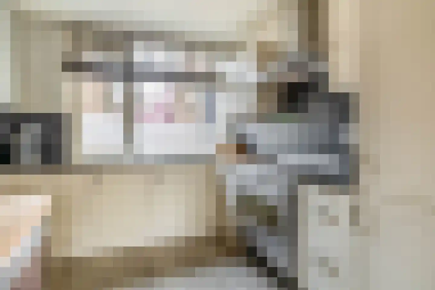 Peperdonk 10 Spijkenisse thumbnail 19
