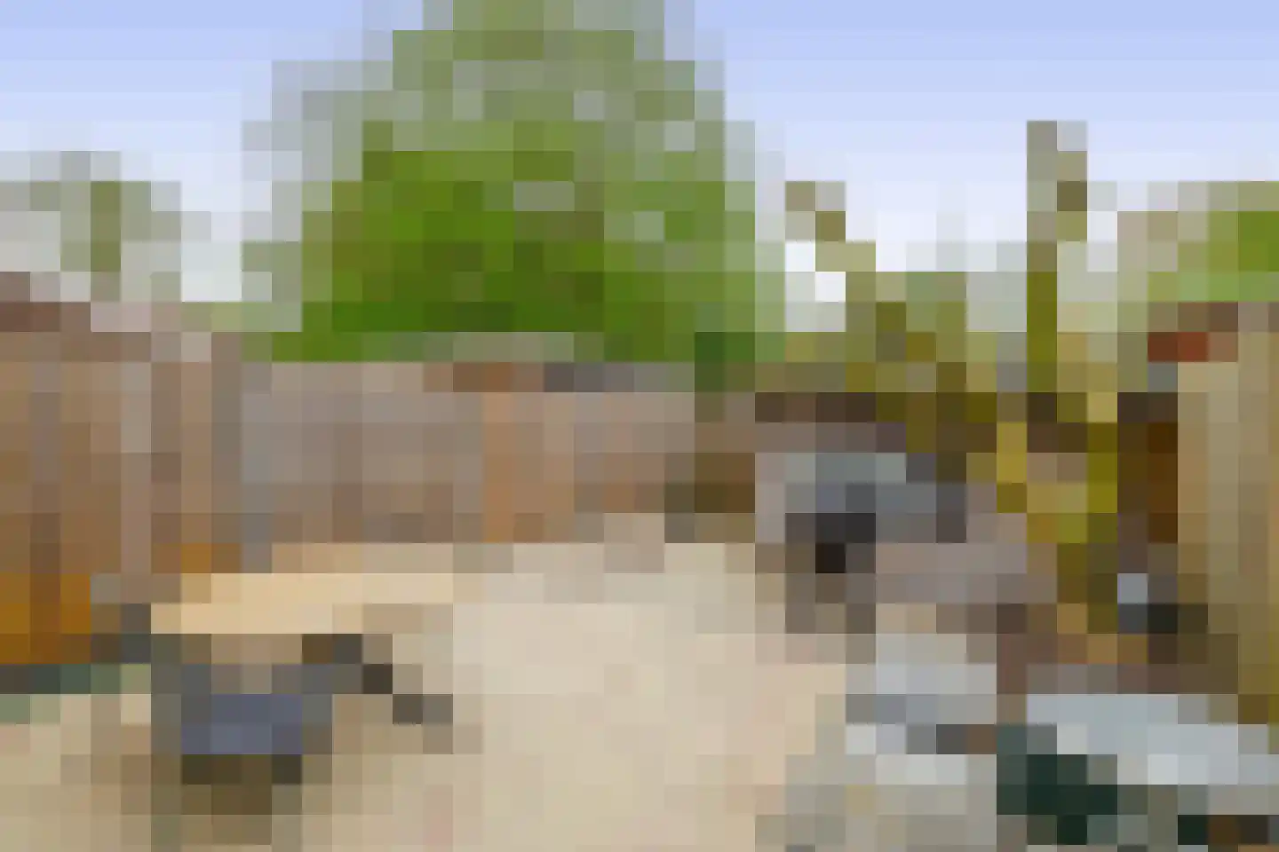 Peperdonk 10 Spijkenisse thumbnail 22