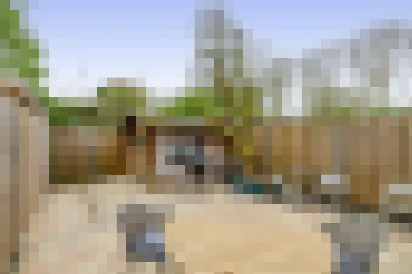 Peperdonk 10 Spijkenisse thumbnail 23