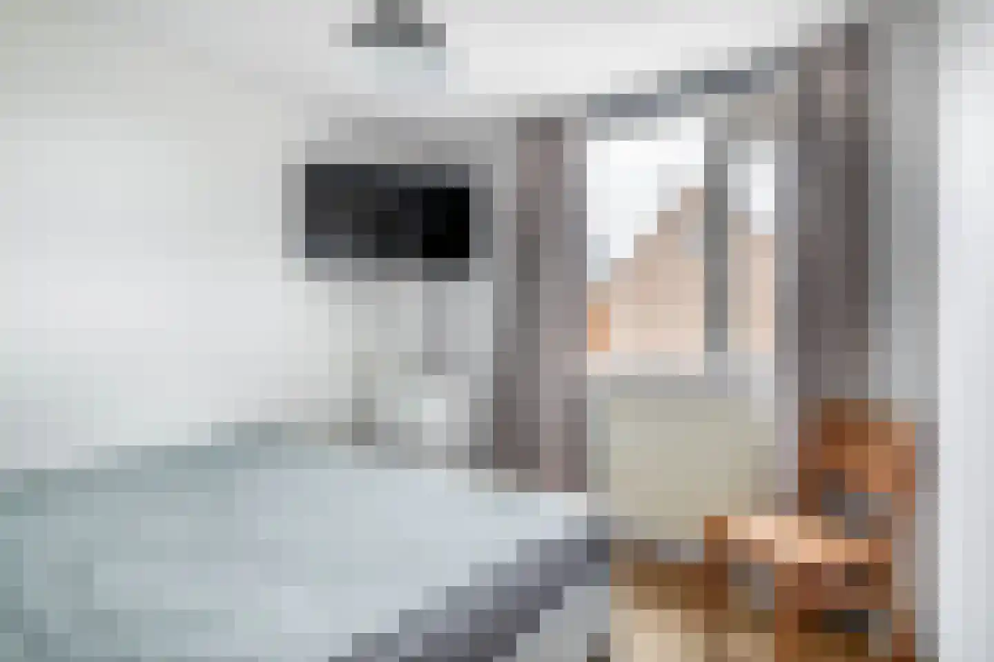 Peperdonk 10 Spijkenisse thumbnail 27