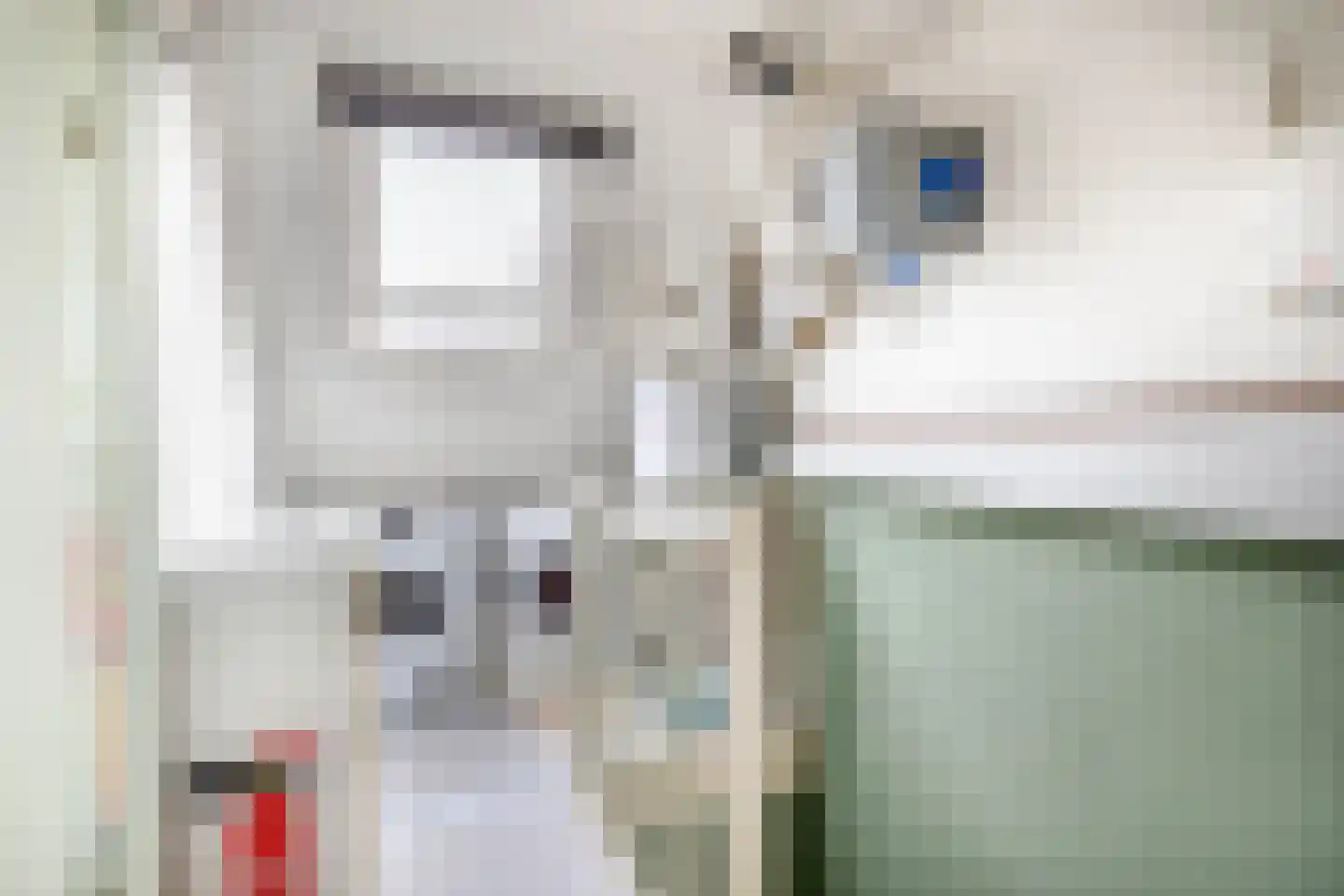 Peperdonk 10 Spijkenisse thumbnail 37