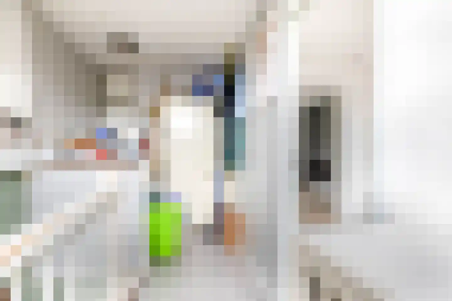 Peperdonk 10 Spijkenisse thumbnail 38