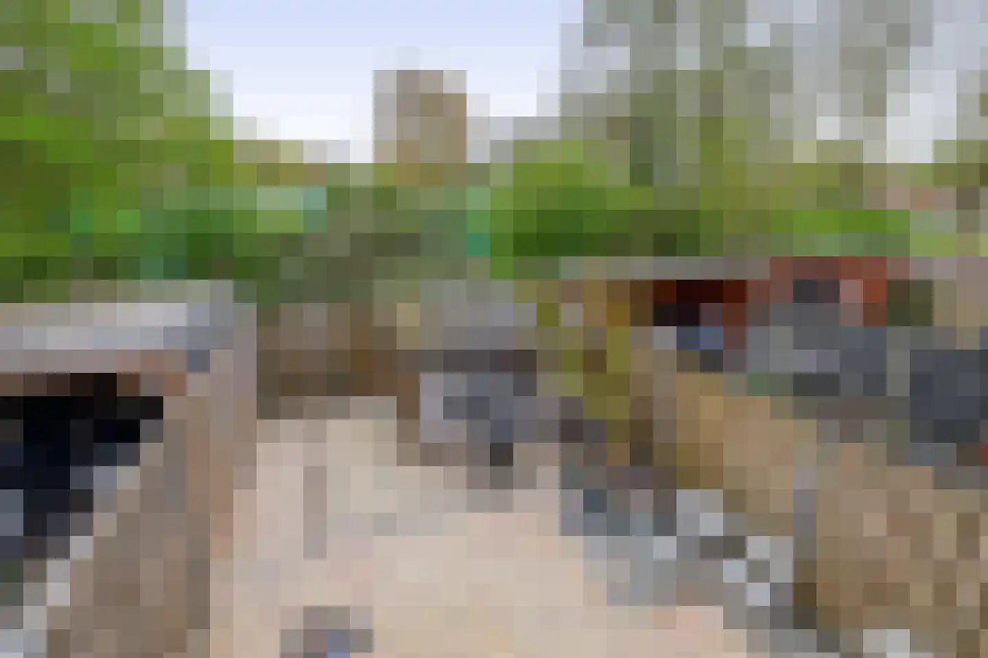 Peperdonk 10 Spijkenisse thumbnail 40