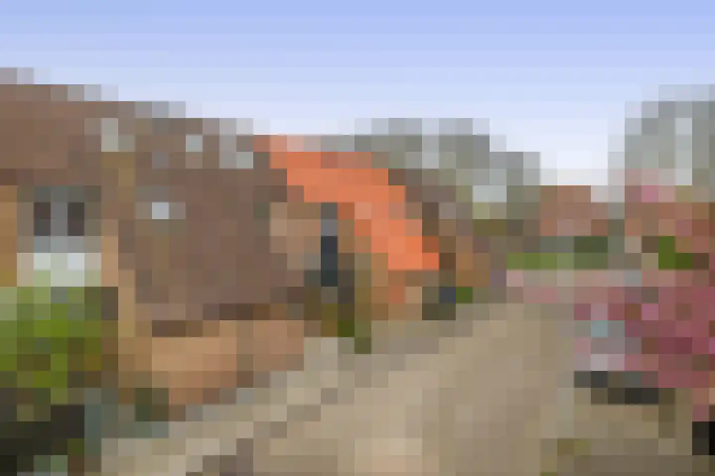 Peperdonk 10 Spijkenisse thumbnail 6
