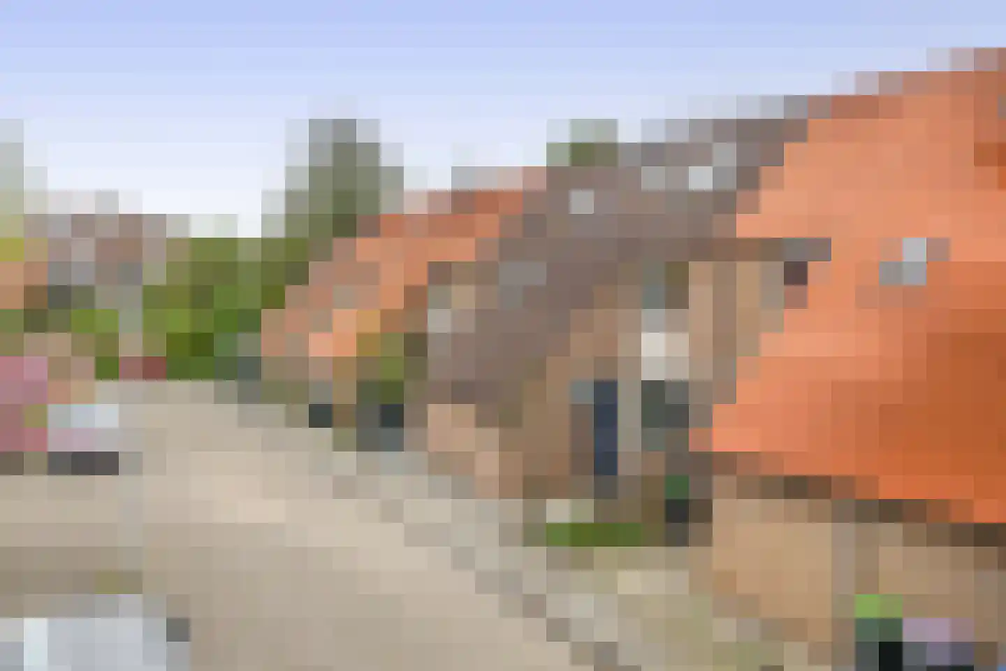 Peperdonk 10 Spijkenisse thumbnail 7