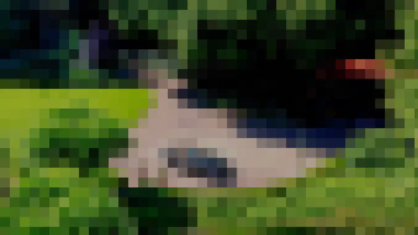 Pepereind 20 Cromvoirt thumbnail 11