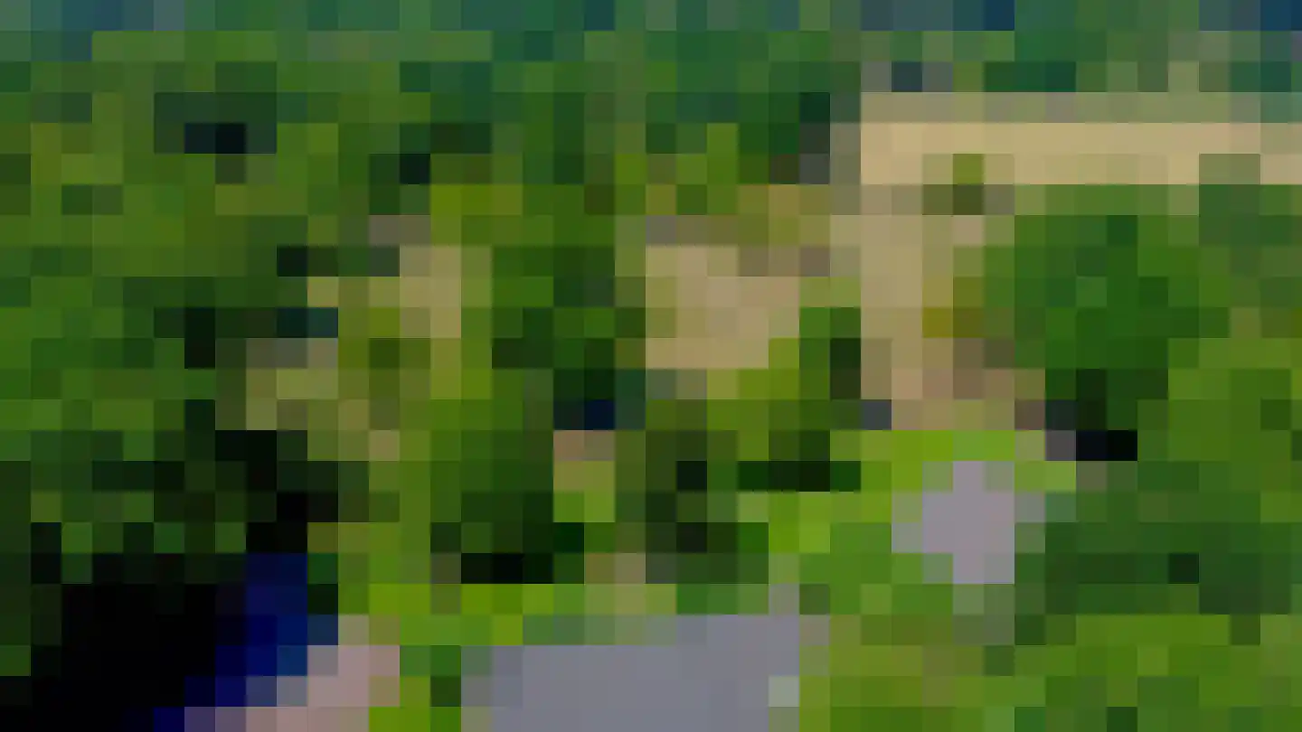 Pepereind 20 Cromvoirt thumbnail 12