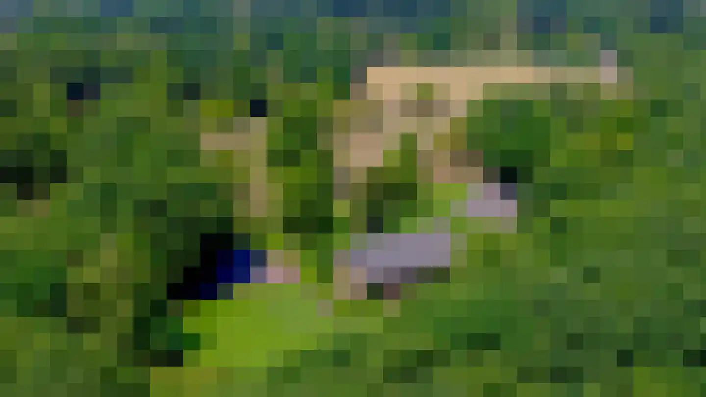 Pepereind 20 Cromvoirt thumbnail 13