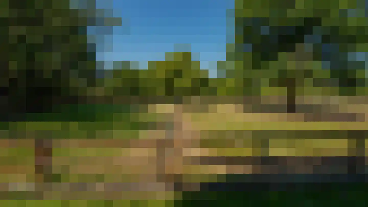 Pepereind 20 Cromvoirt thumbnail 15