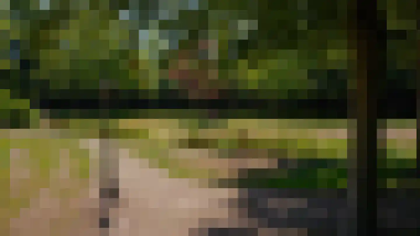 Pepereind 20 Cromvoirt thumbnail 18