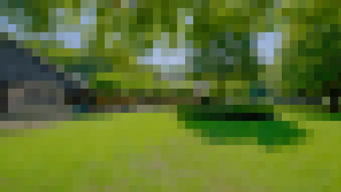 Pepereind 20 Cromvoirt thumbnail 6