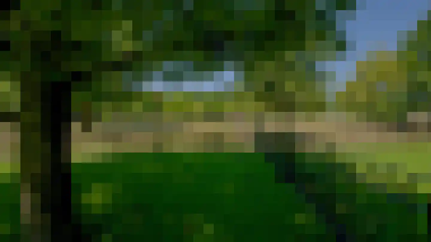Pepereind 20 Cromvoirt thumbnail 8