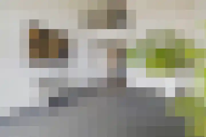 Peperkers 29 IJmuiden thumbnail 4