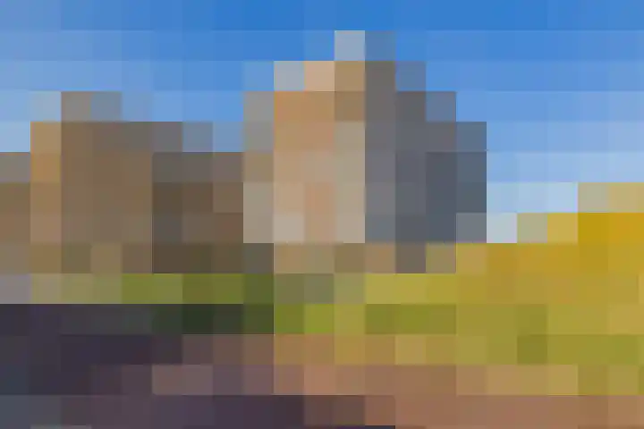 Peperkers 29 IJmuiden thumbnail 42