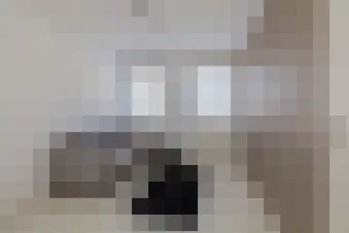 Peperkers 34 IJmuiden thumbnail 30