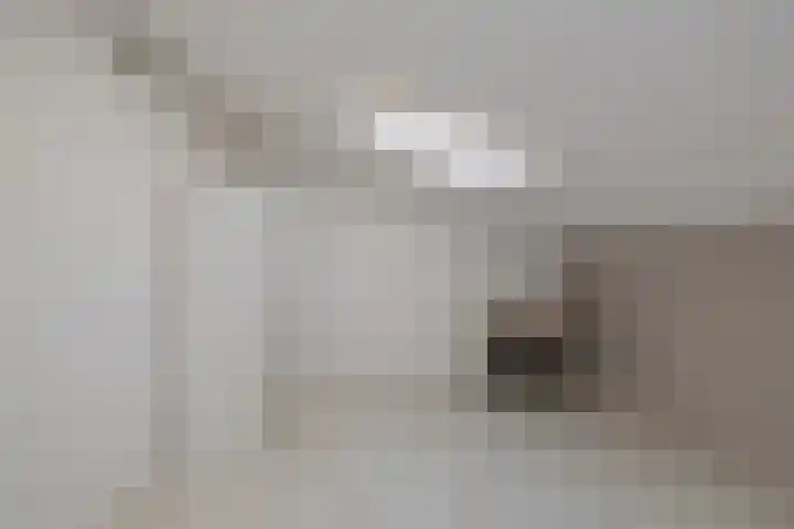 Peperkers 34 IJmuiden thumbnail 37