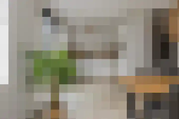 Peperkers 5 IJmuiden thumbnail 11