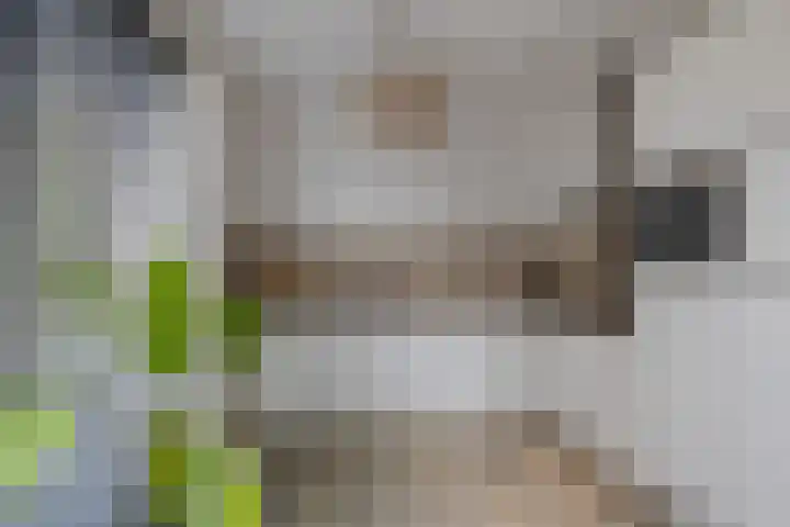 Peperkers 5 IJmuiden thumbnail 12