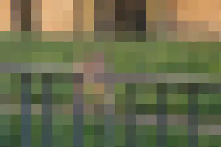 Peperkers 5 IJmuiden thumbnail 19