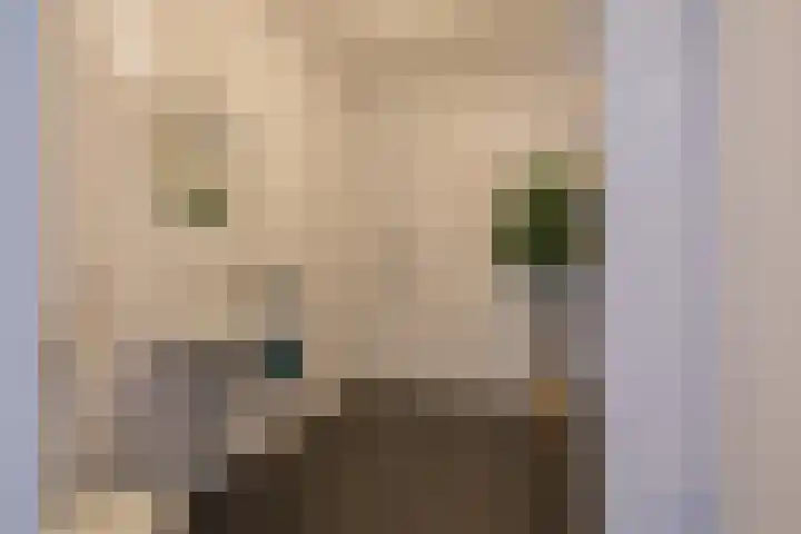 Peperkers 5 IJmuiden thumbnail 31