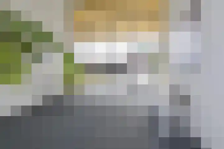 Peperkers 5 IJmuiden thumbnail 35