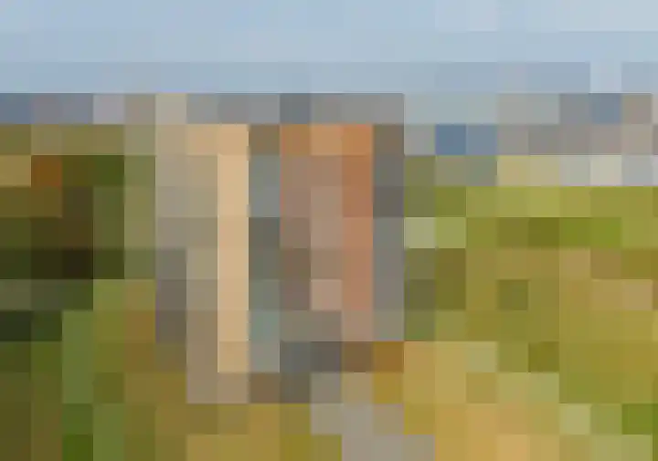 Peperkers 5 IJmuiden thumbnail 37