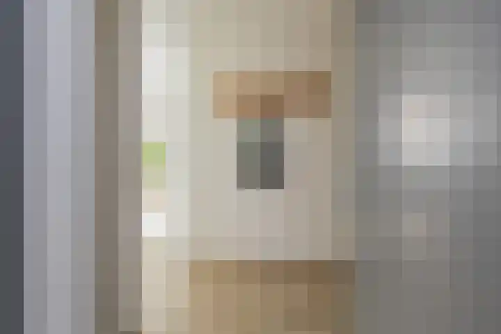 Peperkers 5 IJmuiden thumbnail 7