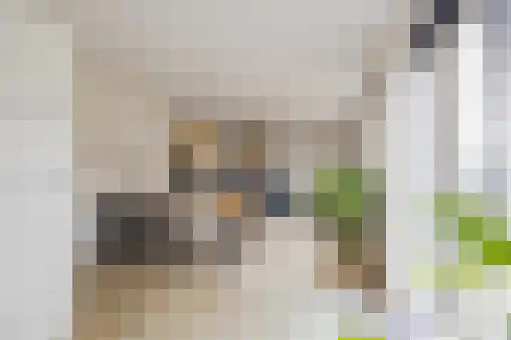 Peperkers 5 IJmuiden thumbnail 8